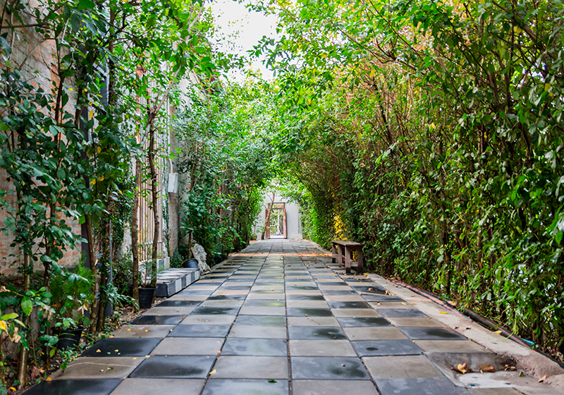 Alfombra vinílica verde camino serene garden - TenVinilo