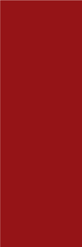 Alfombra vinílica roja en color rojo - TenVinilo