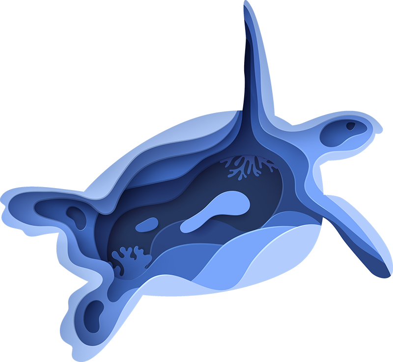 Aflombra vinílica animales forma de tortuga marina - TenVinilo