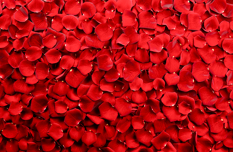 Alfombra vinílica flores conjunto de pétalos rojos - TenVinilo