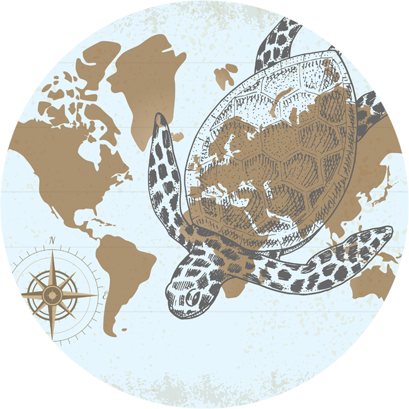 Alfombra vinílica mapamundi mapa de la brújula de la tortuga - TenVinilo