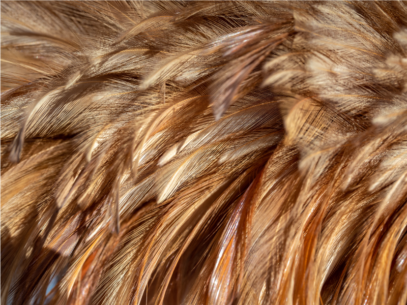 Alfombra vinílica animal print pelo arremolinado - TenVinilo