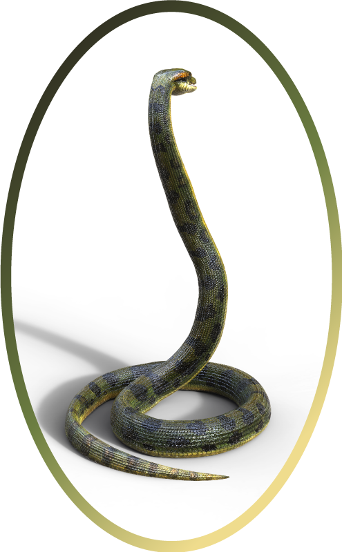 Aflombra vinílica animales inspiración serpiente - TenVinilo