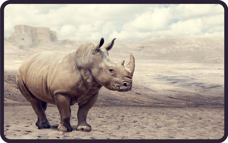 Aflombra vinílica animales majestuosa escena de rinocerontes - TenVinilo