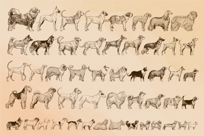 Aflombra vinílica animales ilustraciones de perros beige - TenVinilo