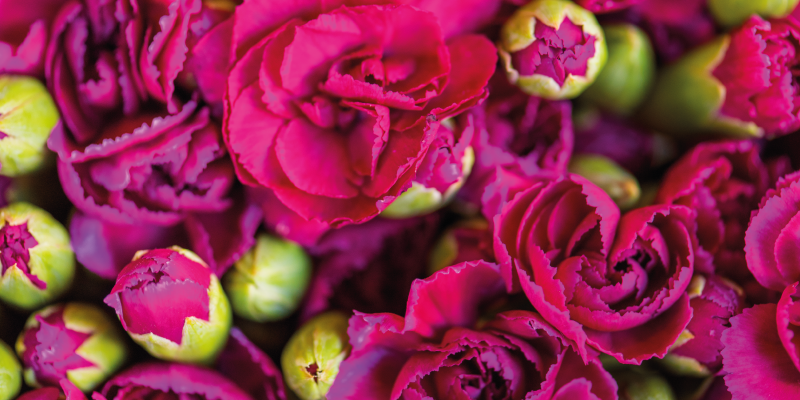 Alfombra vinílica flores ramos coloridos - TenVinilo