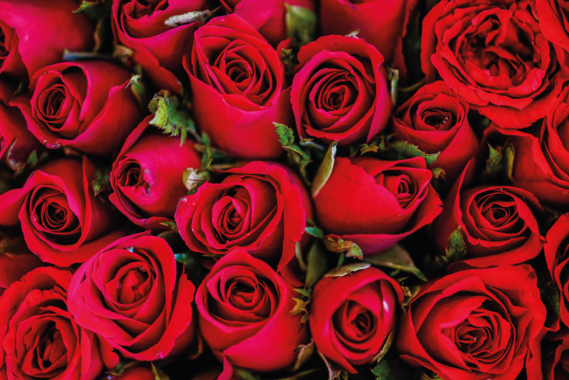 Alfombra vinílica flores ramo de rosas - TenVinilo