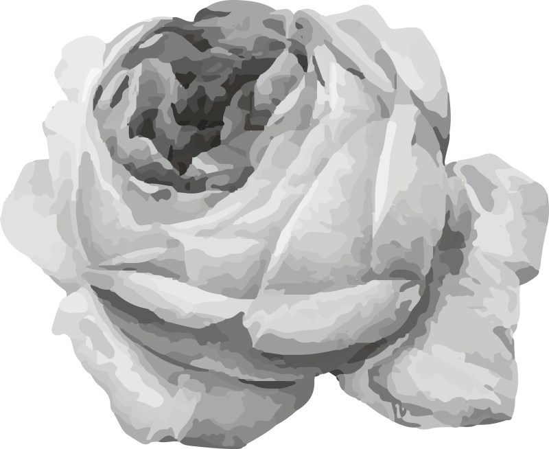 Alfombra vinílica flores flor de rosa - TenVinilo