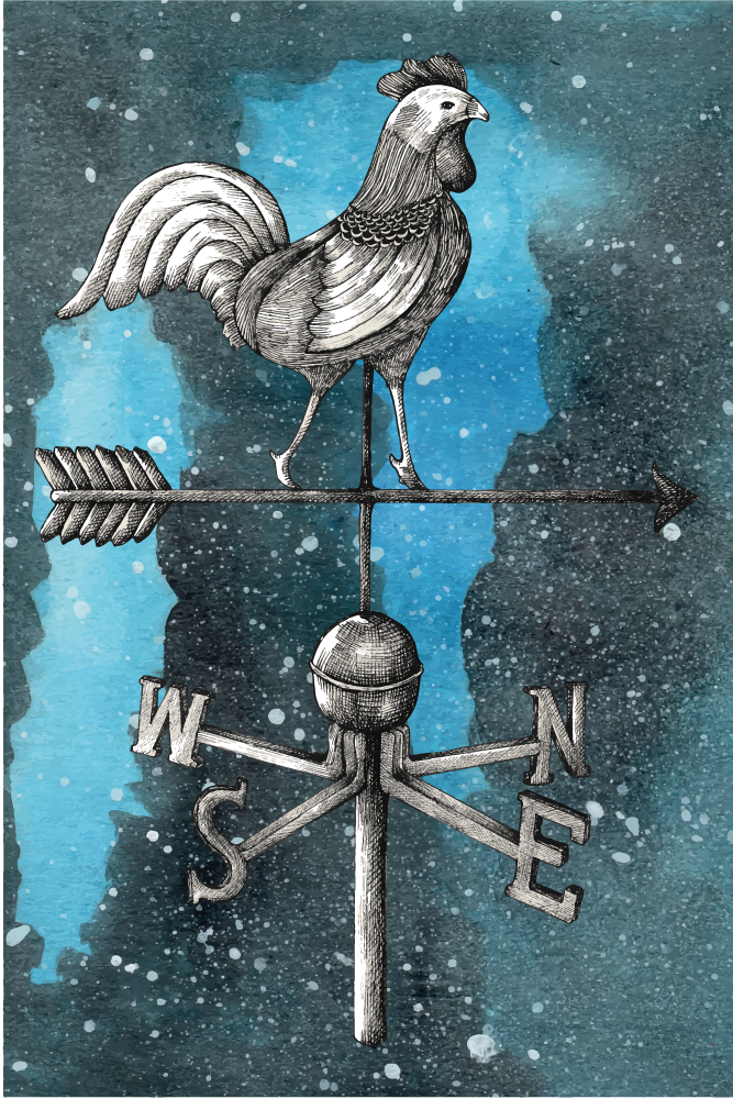 Aflombra vinílica animales Veleta noche artística estrellada con  - TenVinilo