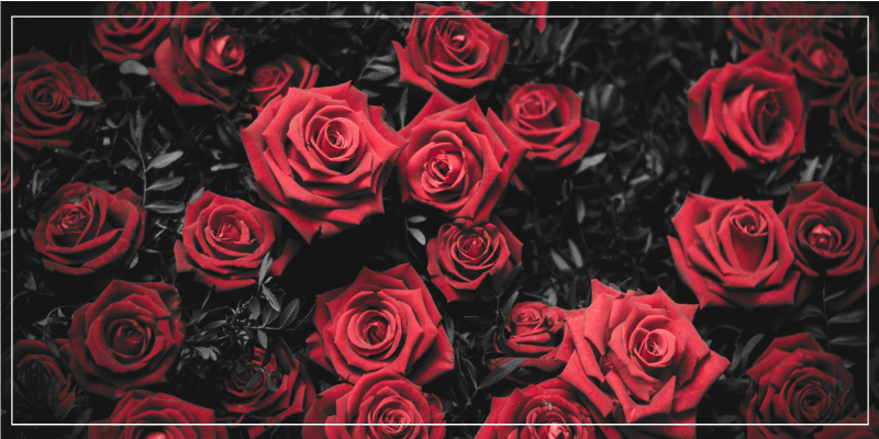 Alfombra vinílica flores diseño realista de rosas rojas - TenVinilo