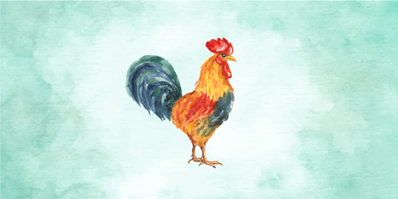 Aflombra vinílica animales ilustración de gallo en acuarela - TenVinilo