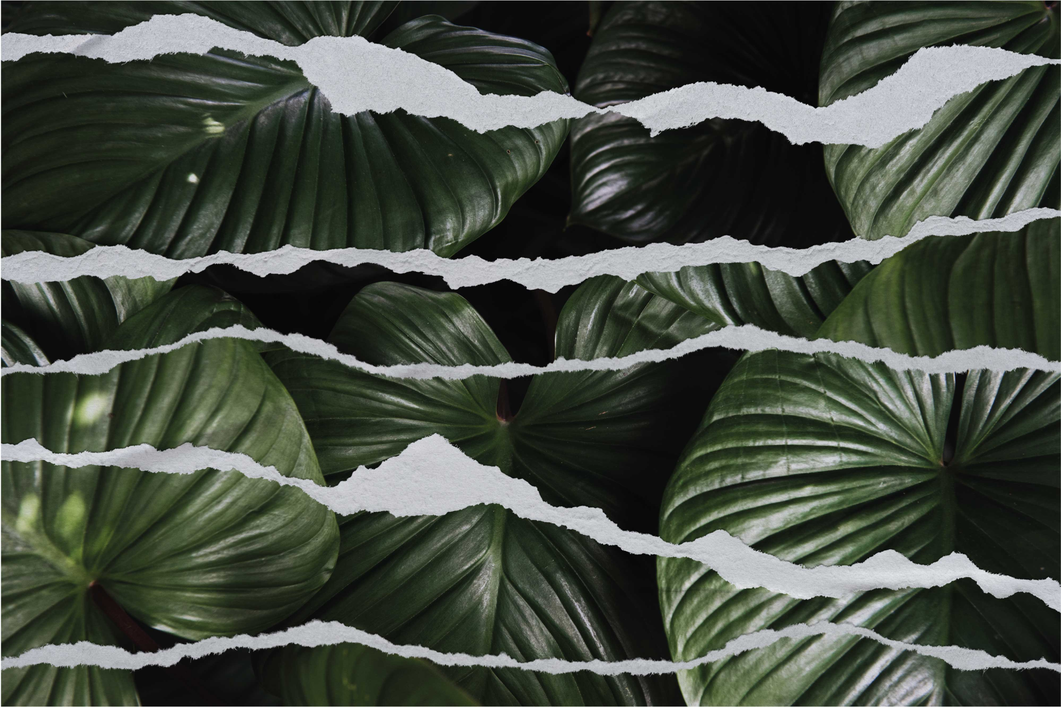 Alfombra vinílica naturaleza patrón de hojas rasgadas - TenVinilo