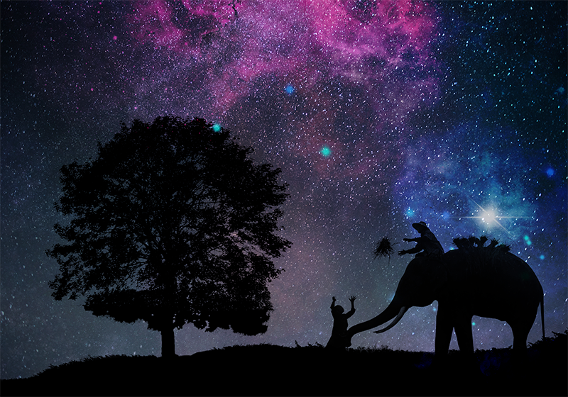 Aflombra vinílica animales aventura cósmica del elefante - TenVinilo