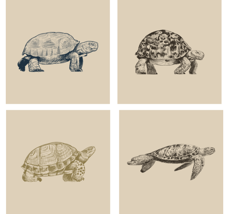 Papel tapiz vintage fondo beige de tortugas - TenVinilo