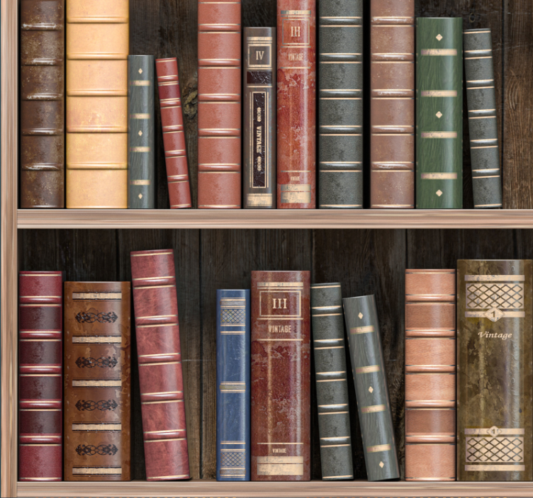 Papel pintado para oficinas libros de bibliotecaLos libros de bib - TenVinilo