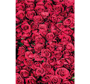 Papel tapiz flores rojas con fondo texturizado - TenVinilo
