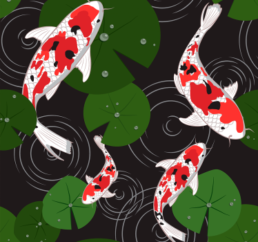 Papel para pared animal carpas orientales - TenVinilo