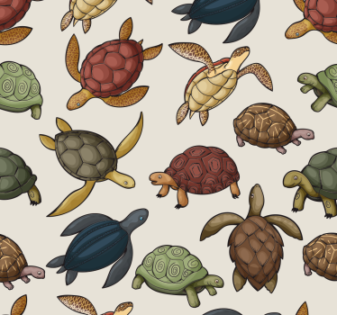 Papel pared animales variedad de tortugas - TenVinilo