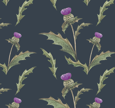 Papel para paredes de flores el cardo escocés - TenVinilo